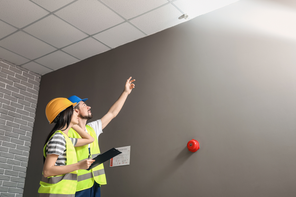 Renovlies voorbereiden in Schiedam voor een goede ondergrond en hechting van het behang.